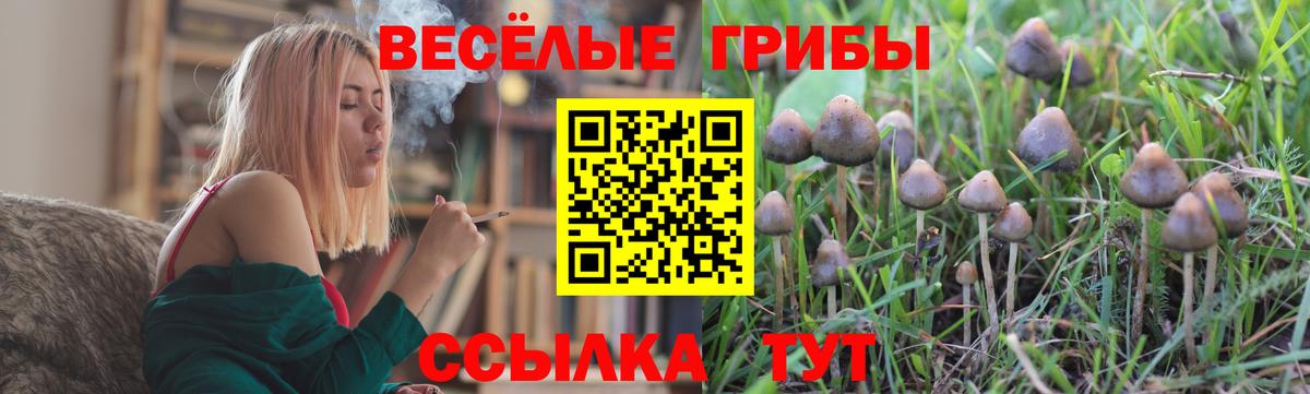 Псилоцибиновые грибы мухоморы Азов